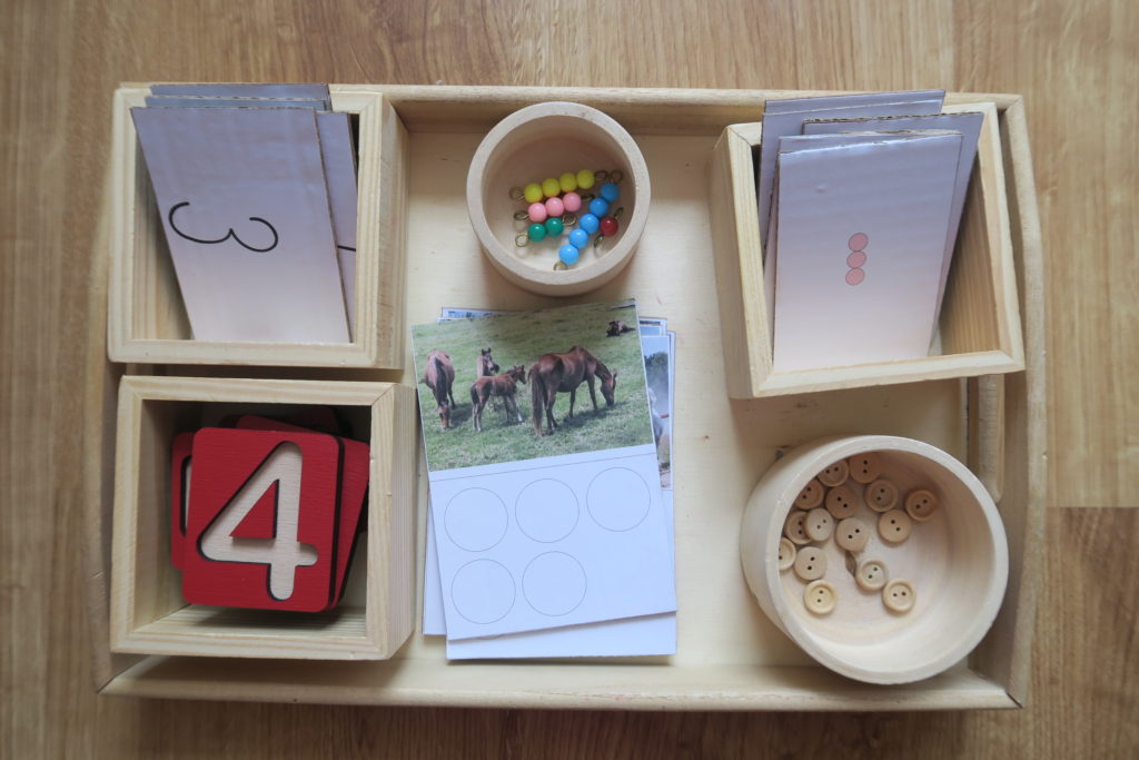 counting horses activity