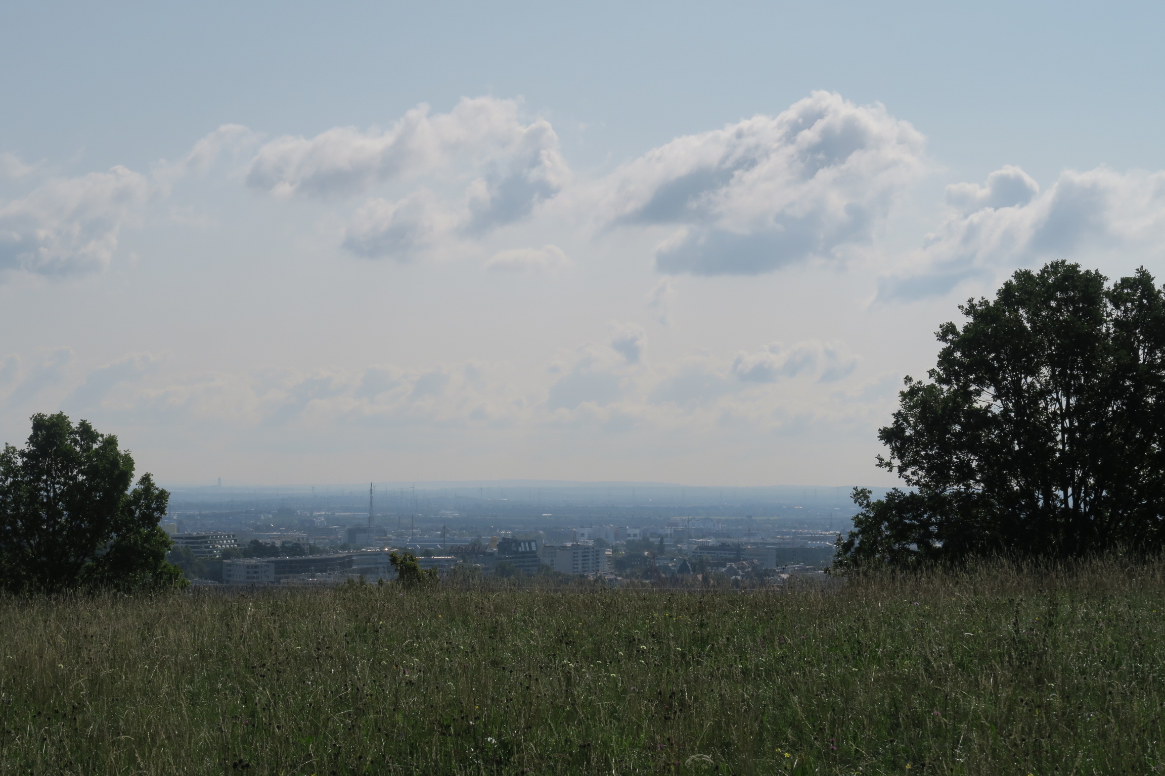 Vienna view